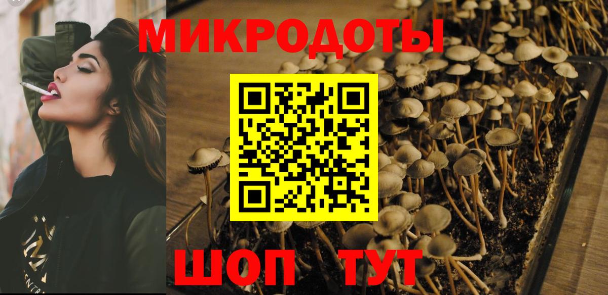 Псилоцибиновые грибы мухоморы Звенигород